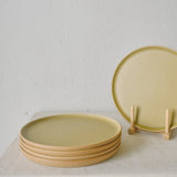 Dinner Plate (10") - 4 Colours - MAELSTROM