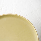 Dinner Plate (10") - 4 Colours - MAELSTROM